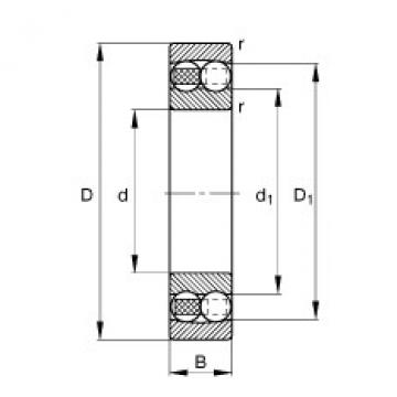 Bantalan 1219-M FAG