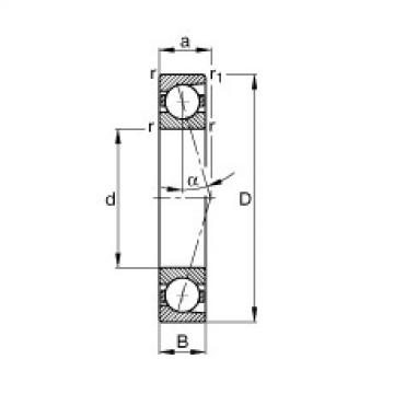 Bantalan B7024-C-T-P4S FAG