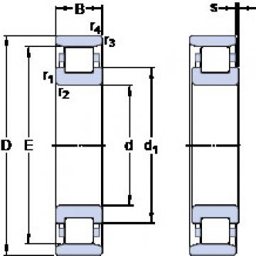 Bantalan N 307 ECP SKF