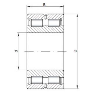 Bantalan SL024972 ISO