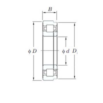 Bantalan NUP2214 KOYO