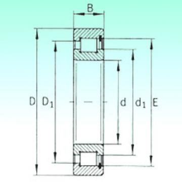 Bantalan SL182232 NBS