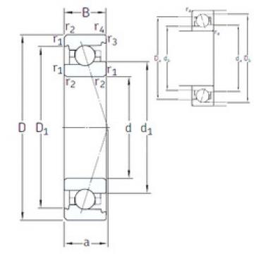 Bantalan VEX 120 /NS 7CE1 SNFA