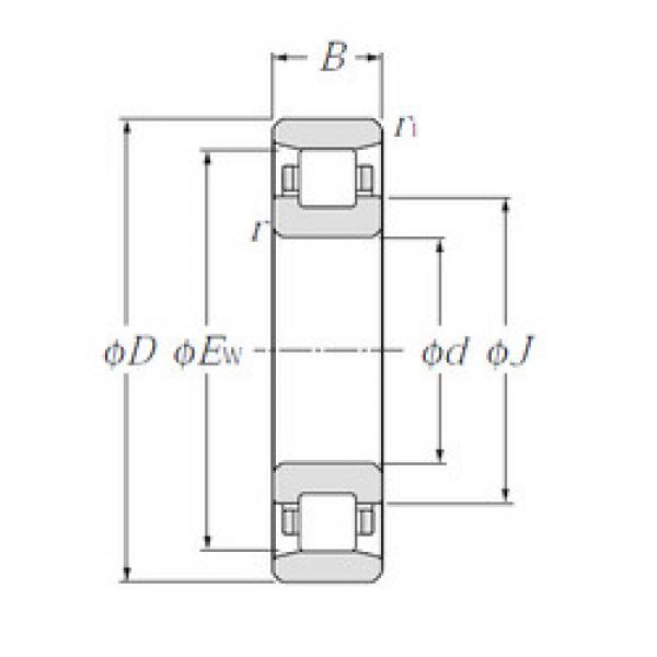 Bantalan N234 NTN #1 image