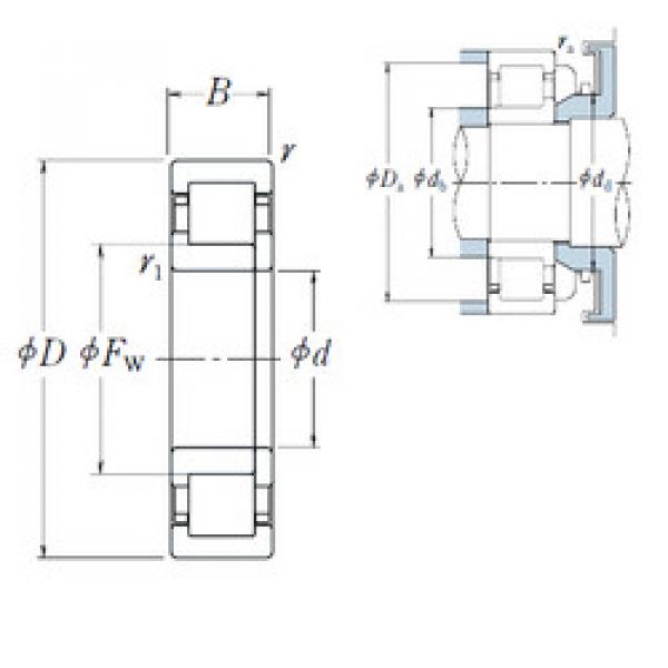 Bantalan NUP 310 EW NSK #1 image